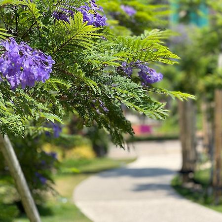 ゲストハウスあさひ Atami  Extérieur photo