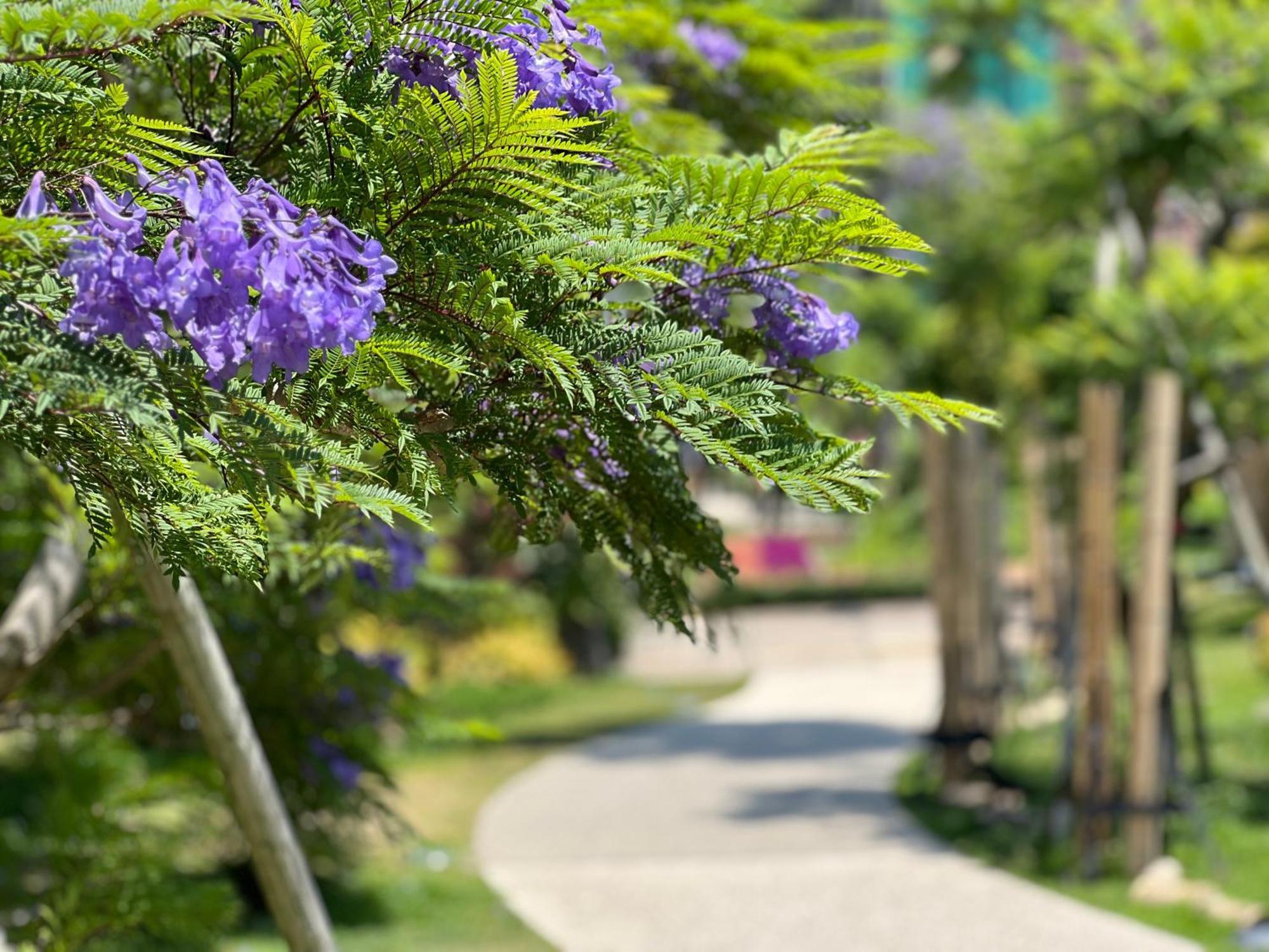 ゲストハウスあさひ Atami  Extérieur photo